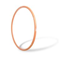 SELF Weighted Fitness Hoop